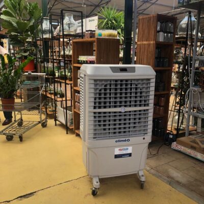 Magasin de jardinerie (2)