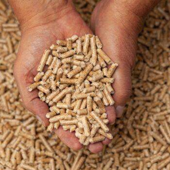 Pellets 1