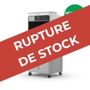P40 - RUPTURE DE STOCK